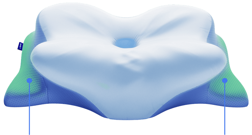 Derila Ergo Pillow™